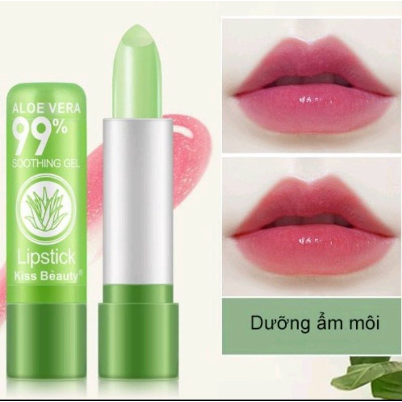 son dưỡng môi lô hội