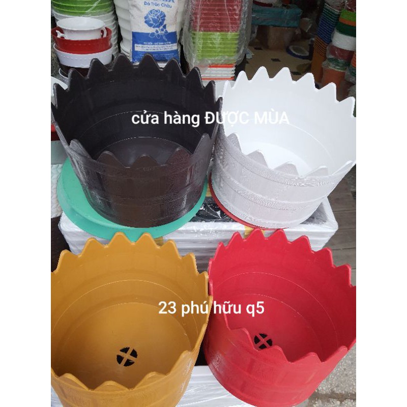 chậu hàng rào kiểu tròn đường kính 30cm.