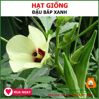 Hạt Giống Đậu Bắp Cao Sản Nam Bộ 50 Gram
