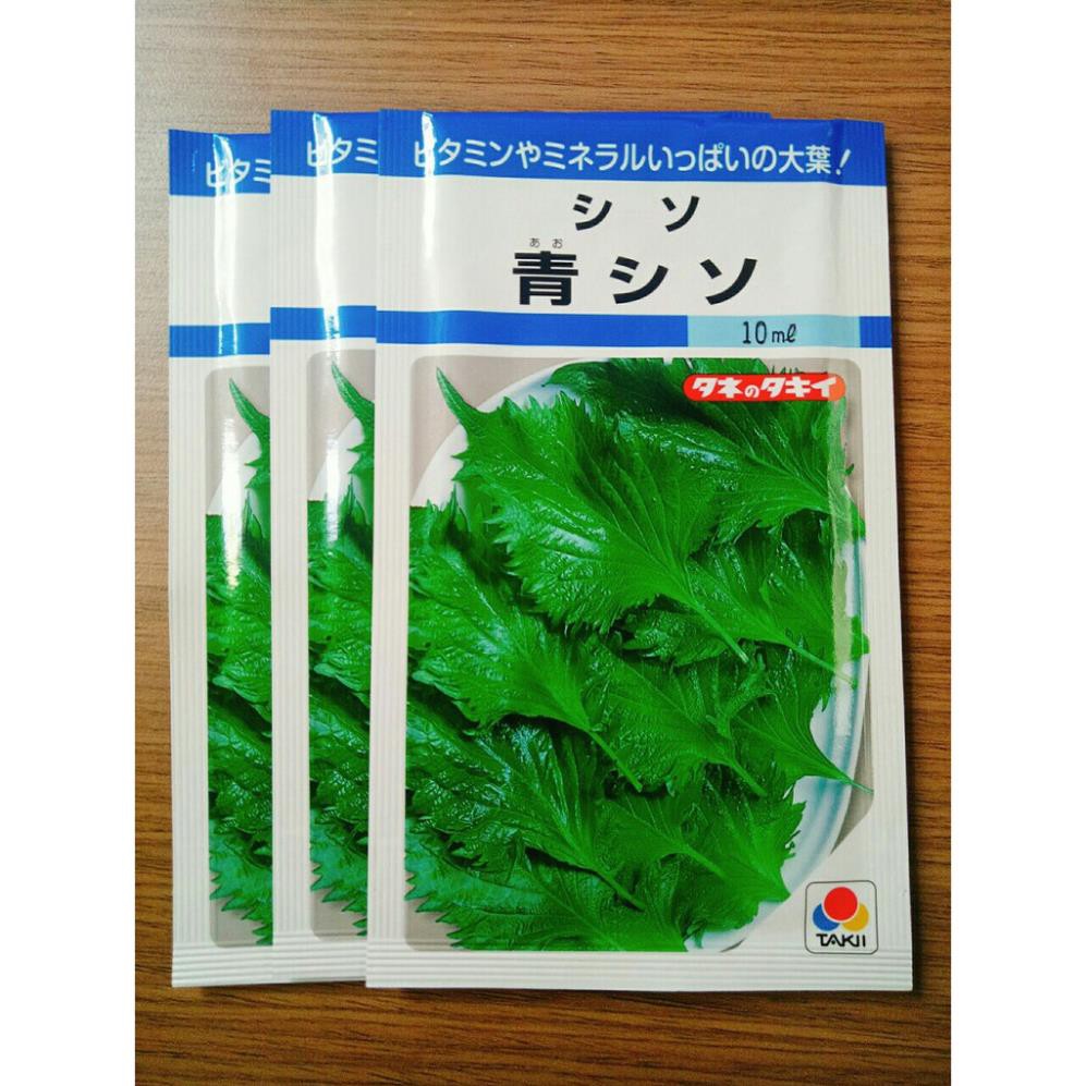 [Hạt Nhật Bản] - Giống tía tô xanh Nhật Bản tỷ lệ nảy mầm 85% (gói 200 hạt)
