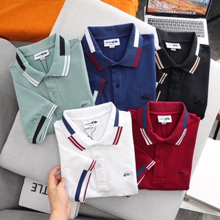 Áo polo nam xuất khẩu, áo phông nam xuất dư 100% cotton.