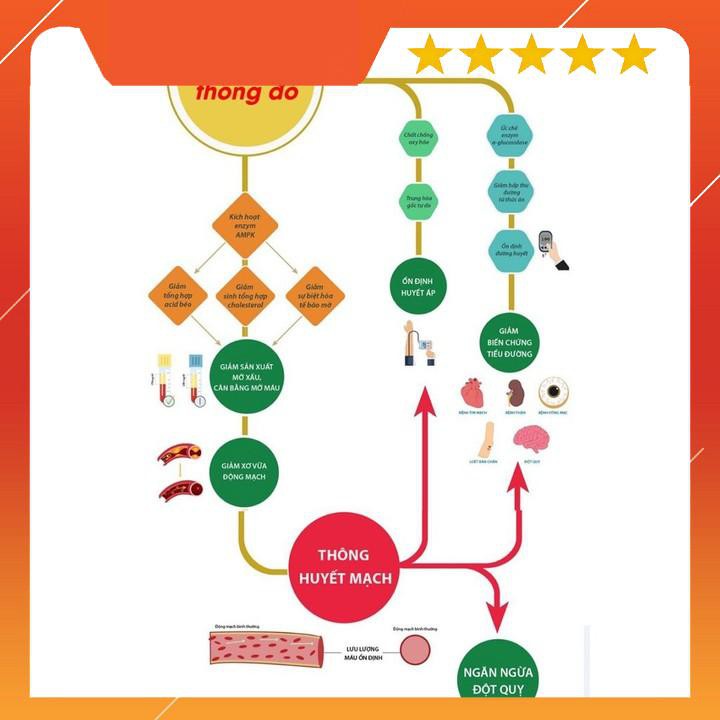 [DATE MỚI] Tinh Dầu Thông Đỏ CHEONGSONGWON Hàn Quốc, Hộp 180 Viên | BigBuy360 - bigbuy360.vn