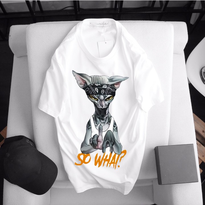 Áo thun Nam , nữ áo phông Thun Cotton DHL swap tay ngắn cổ tròn in họa tiết | BigBuy360 - bigbuy360.vn