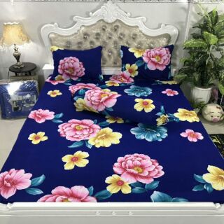 Set bộ grap thun thái phối 1,8m mền 2,2m