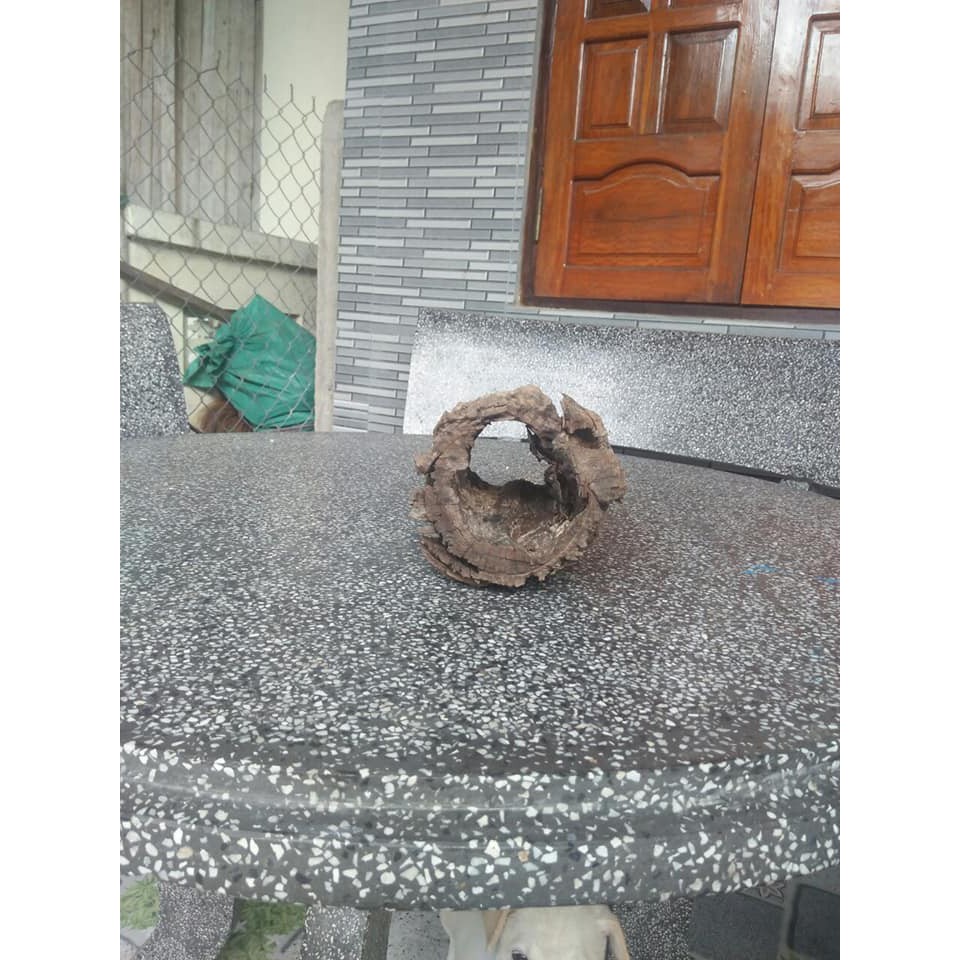 LŨA SAN  ĐÁ ỐNG RỖNG - TRANG TRÍ HỒ CÁ TÉP THỦY SINH