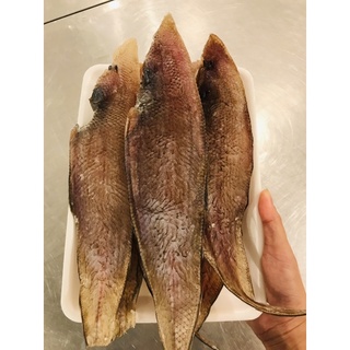 Cá bơn 1 nắng quảng ninh khay 300g