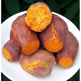 5kg/100k Khoai lang nghệ