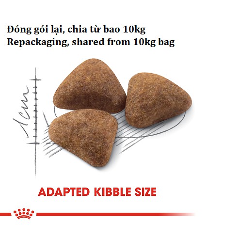 Thức ăn hạt cho mèo ROYAL CANIN INDOOR 27, mèo trên 1 tuổi lười vận động_Titipets
