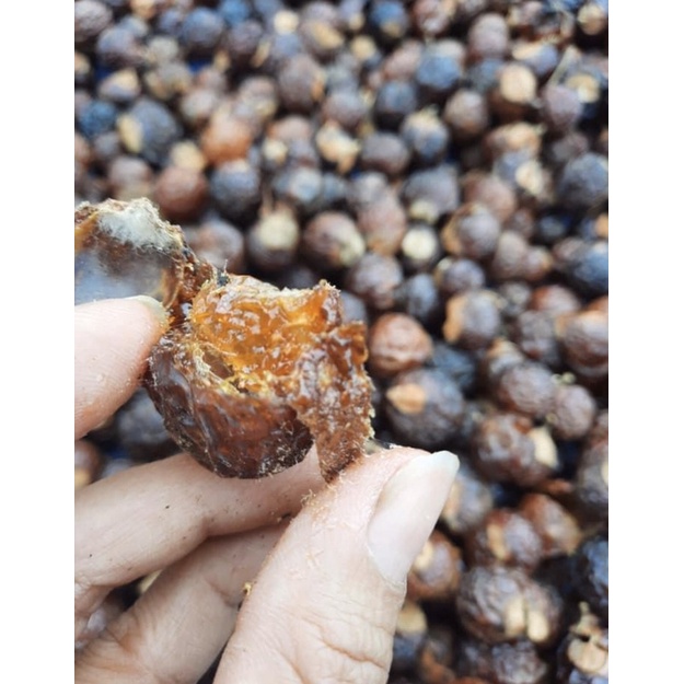 Bồ hòn tách hạt 1kg (loại 1)