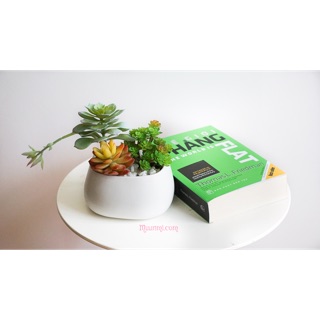 Chậu tiểu cảnh sen đá siêu xinh- HKB02