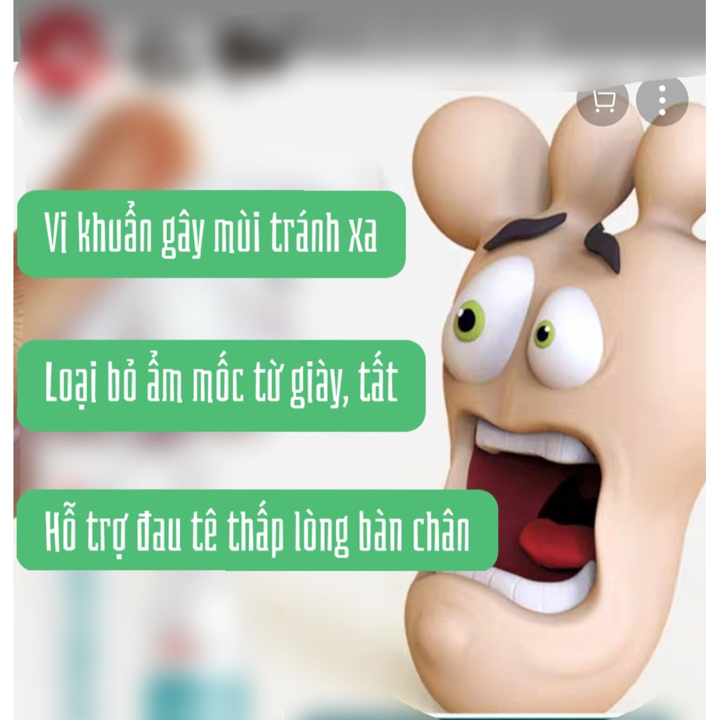 COMBO HOI NACH HOI CHAN - SP BAN CHAY | BigBuy360 - bigbuy360.vn