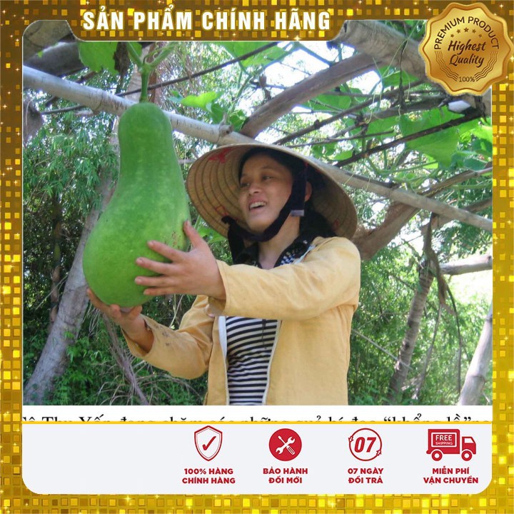 Hạt giống bí đao xanh khổng lồ - 5 hạt