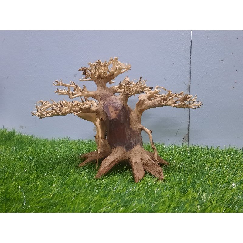 Lũa BONSAI hồ cá dáng cây đa 1 N26-C20-R12