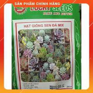 HẠT GIỐNG SEN ĐÁ MIX GÓI 20 HẠT