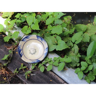 Dĩa phết xanh gốm sứ Nam Bộ size 15cm - Cửa hàng Gốm Hoa Mai chuyên hàng chén bát gốm sứ xưa