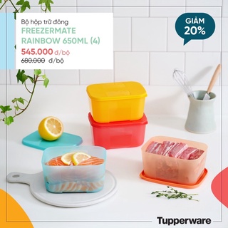 Hộp đông Rainbow 650ml - Hàng chính hãng Tupperware Việt Nam phân phối
