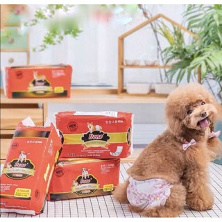 Tả bỉm cho chó cái