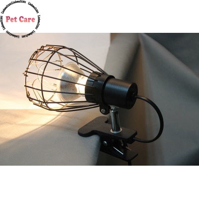 Kẹp đèn sưởi liền chụp cao cấp