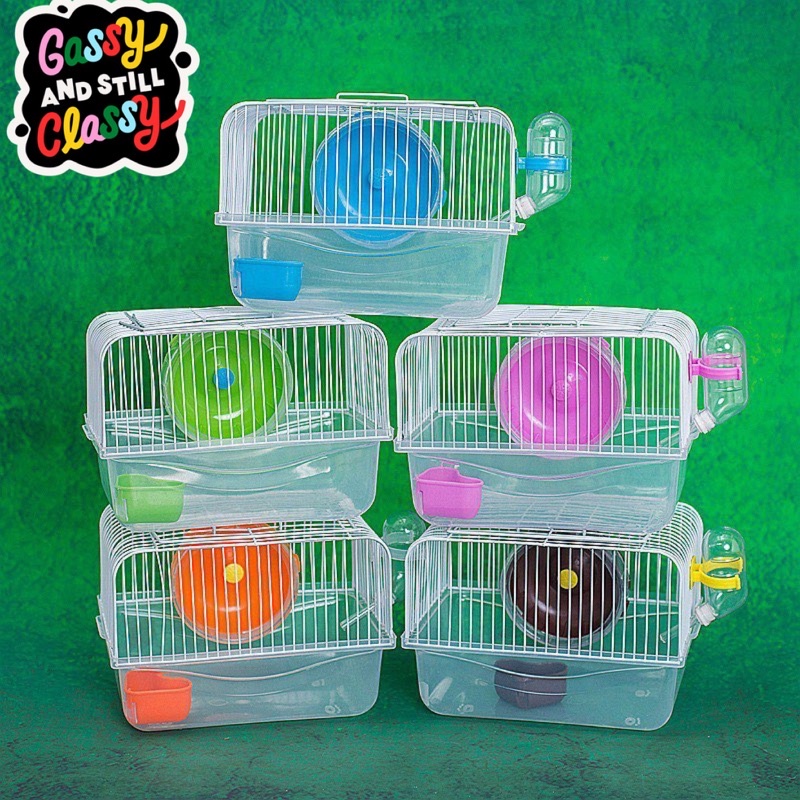 Lồng Mini trong suốt - lồng mini full