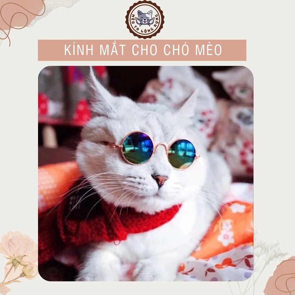 Phụ kiện chó mèo, kính cho mèo, kính cho chó, kính mắt thời trang cho chó mèo 8 cm