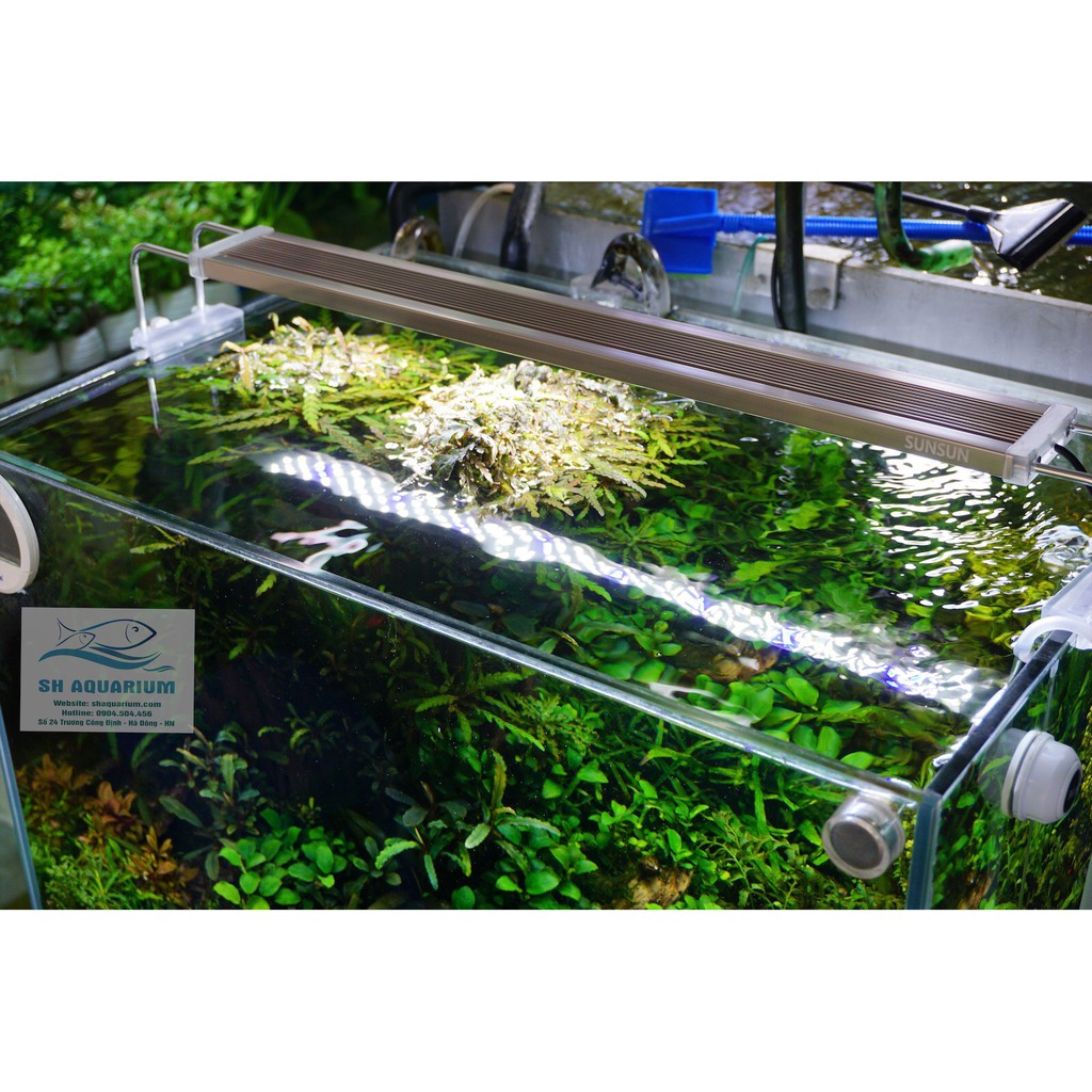 ĐÈN LED SUNSUN ADE-300C