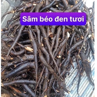 Sâm đen 1kg