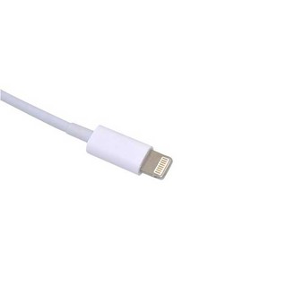 Cáp Lightning USB OTG Cho iPad 4, iPad Mini, iPhone 5