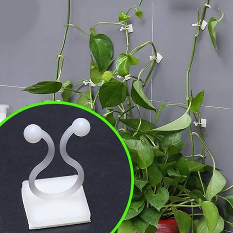 Bộ 10 móc giữ cây keo dán tường tiện dụng