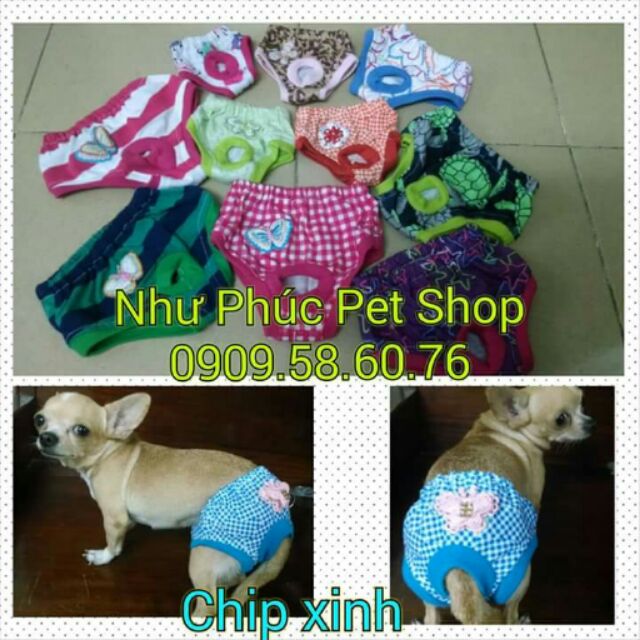 Quần chip cho chó mèo cái