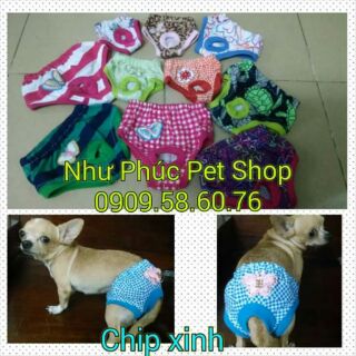 Quần chip cho chó mèo cái