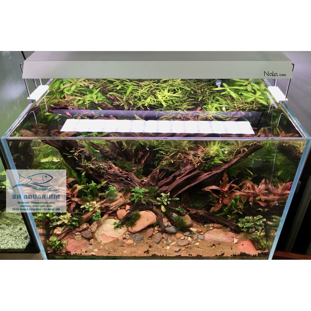 Đèn Nala Thế Hệ Mới C400, C600, C900