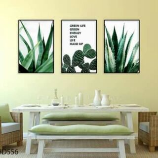 Tranh canvas lá nhiệt đới và xương rồng  30x40_40x60 kèm khung