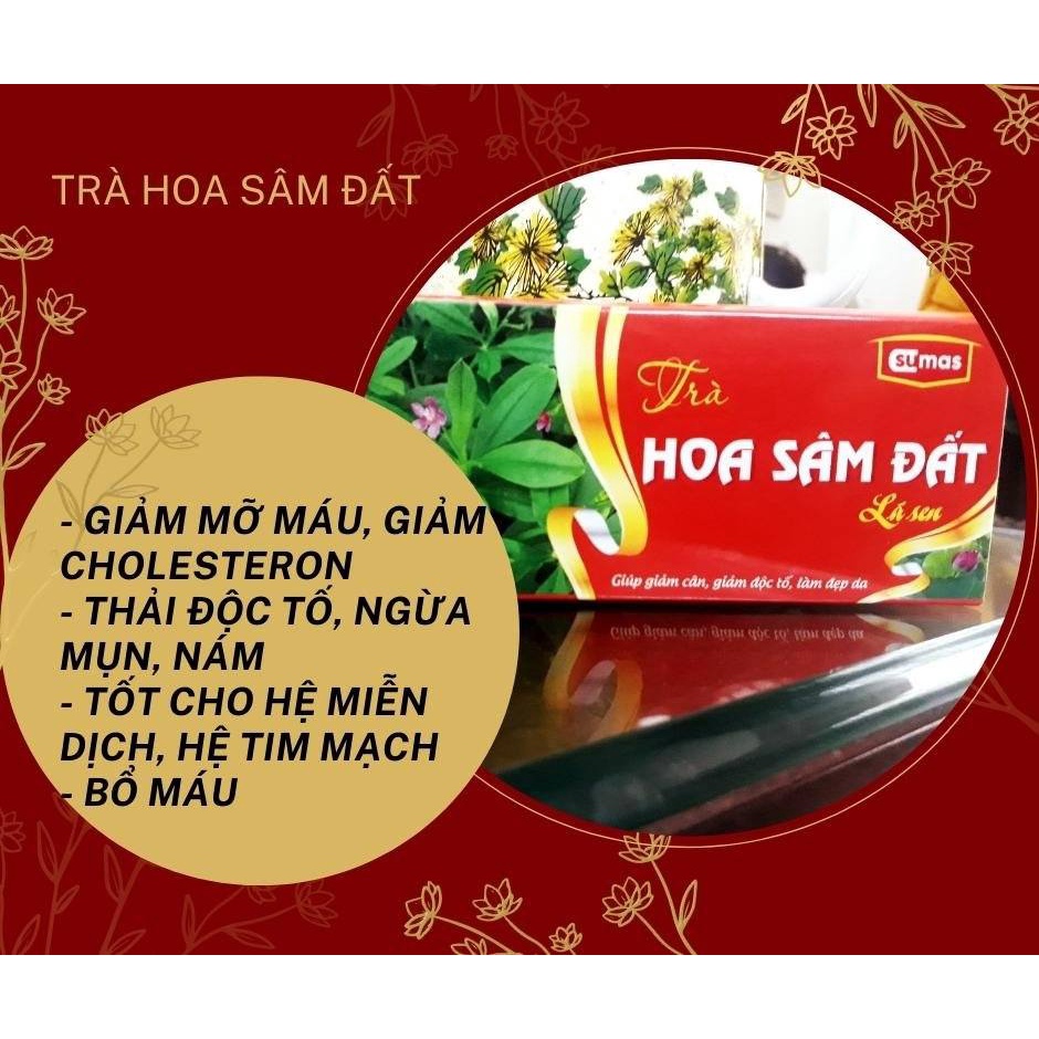 TRÀ THẢO MỘC GIẢM CÂN HOA SÂM ĐẤT GIẢM MỠ MÁU TĂNG SỨC ĐỀ KHÁNG 1 HỘP/30 GÓI TÚI LỌC