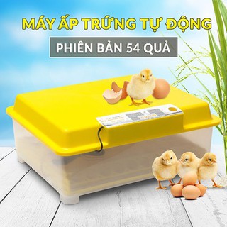 Máy ấp trứng Ánh Dương 60 trứng lắp ráp sẵn KHAY ĐẢO LĂN HÀNG CHÍNH HÃNG