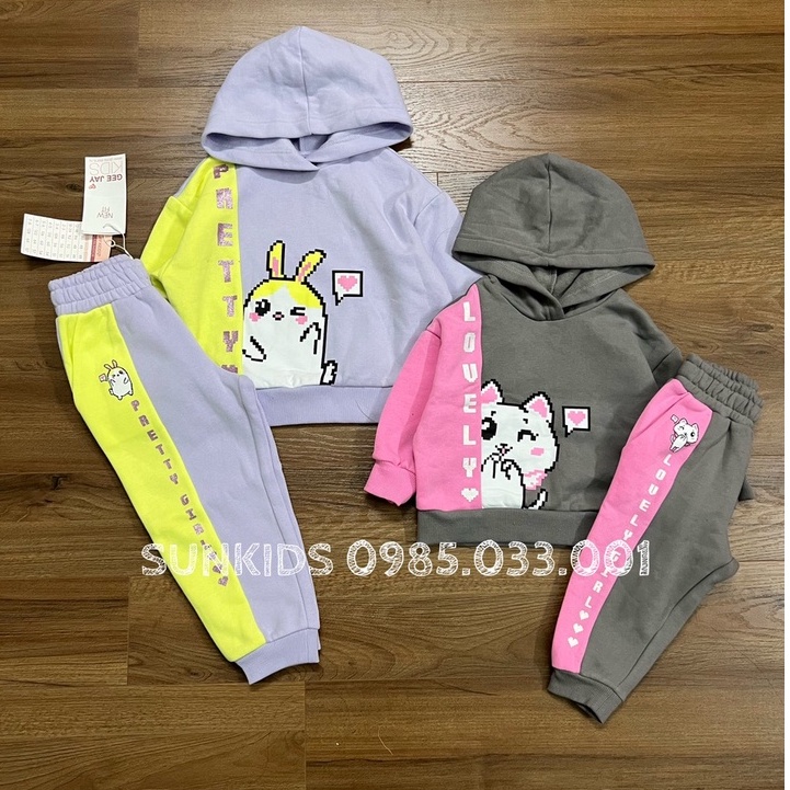 Bộ thu đông hoodie bé gái phối hình