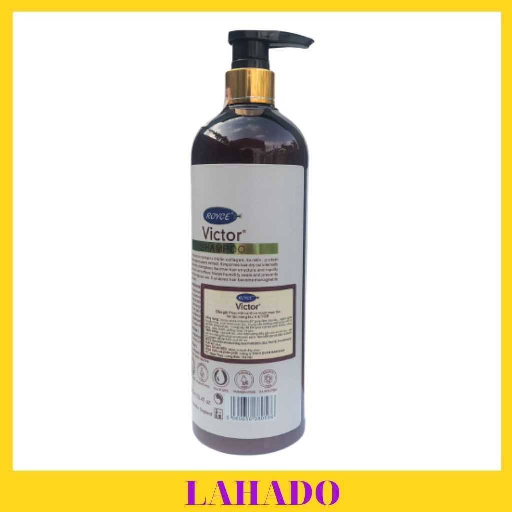 Cặp Dầu gội phục hồi và kích thích mọc tóc tái tạo nang tóc VICTOR 950ml