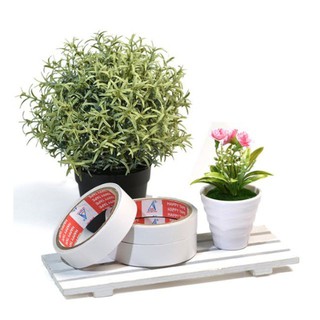 Combo 3 cuộn Băng dính 2 mặt 24mmx9Y