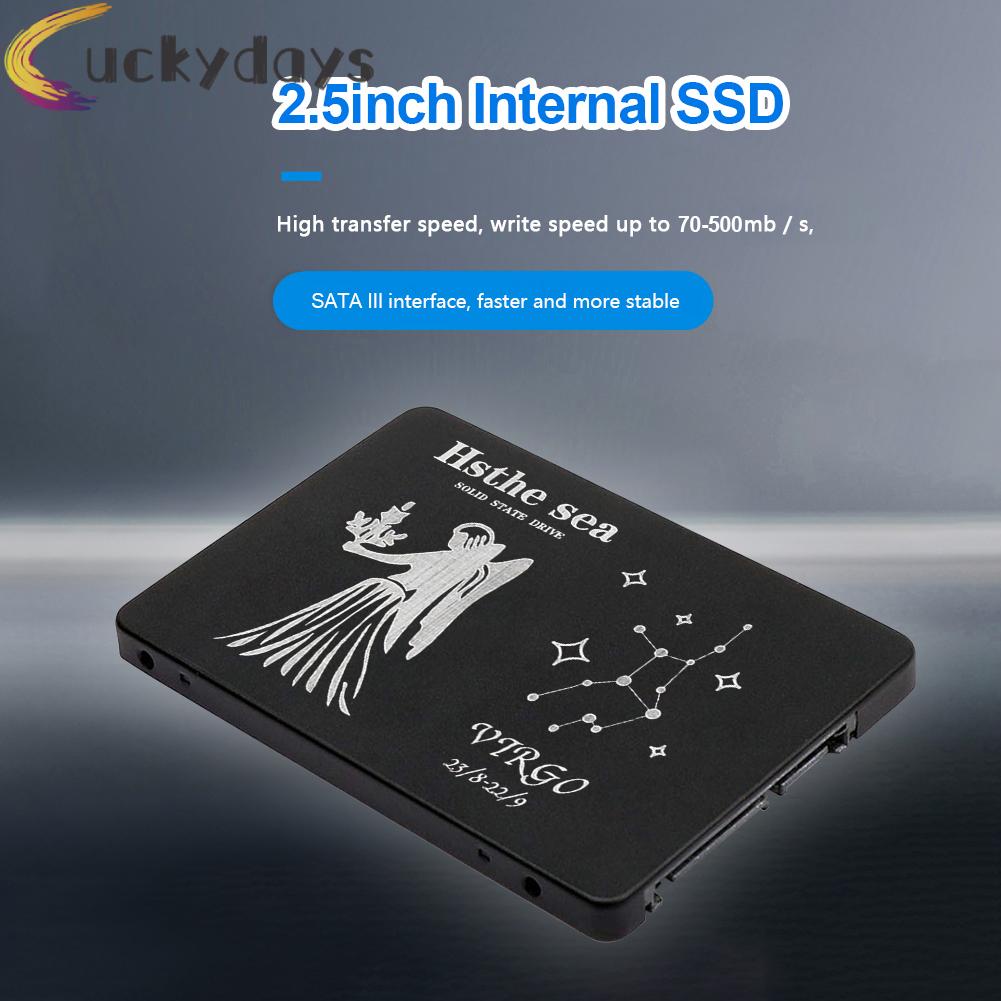 LUCKYDAYS 2.5 SATA III Internal SSD Solid State Drive Virgo Pattern for Computer PC | BigBuy360 - bigbuy360.vn