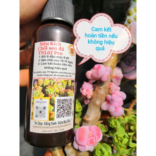 Combo 4 sản phẩm chuyên dụng cho sen đá _ xương rồng TNL
