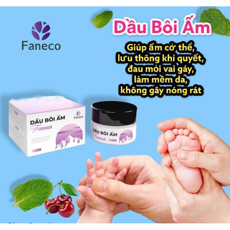 Cao ấm faneco
