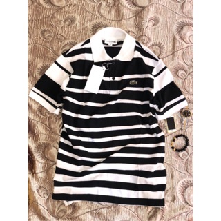 Áo polo lascote chất 100%cotton xuất khẩu