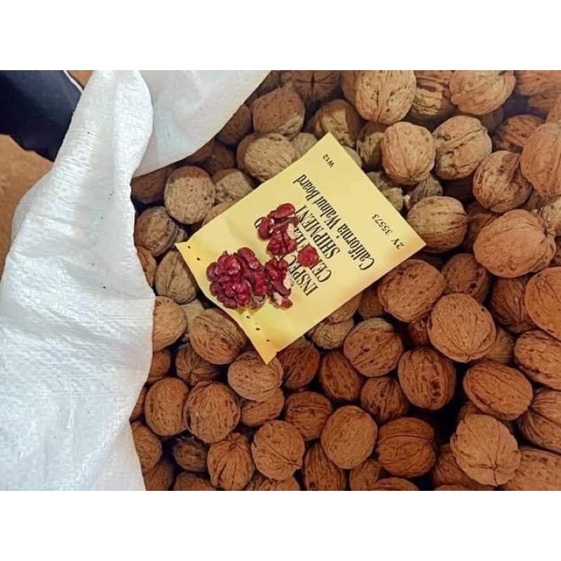 Óc chó đỏ còn vỏ nhập khẩu Mỹ 500g