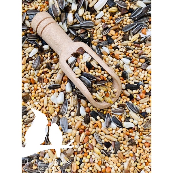 500g thức ăn hạt hỗn hợp cho Vẹt: Lovebird, Cockatiel, Parrotlet...