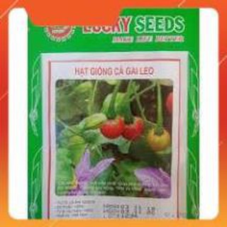 HẠT GIỐNG CÀ GAI LEO GÓI 0,2G