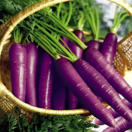 50 Hạt Giống Cà Rốt Đen Tím Black Giàu Anthocyanin