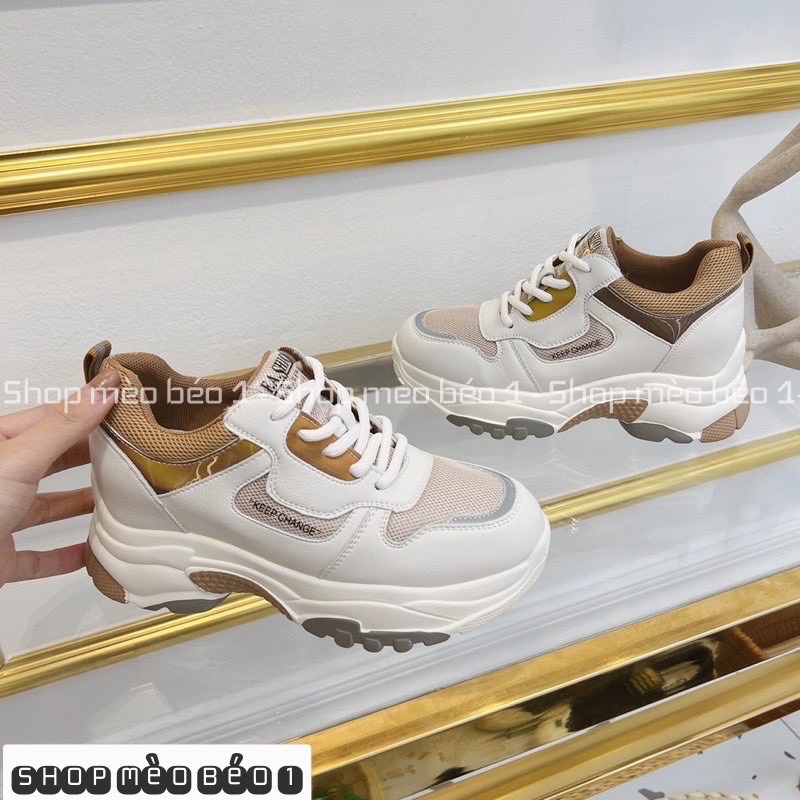 Giày thể thao sneaker độn đế cao lót viền nâu fullbox hàng quảng châu cao cấp