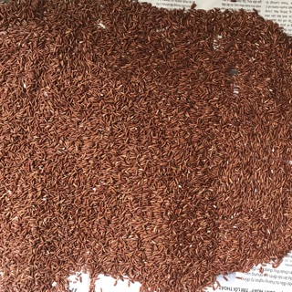 Trà Gạo Lứt 1kg