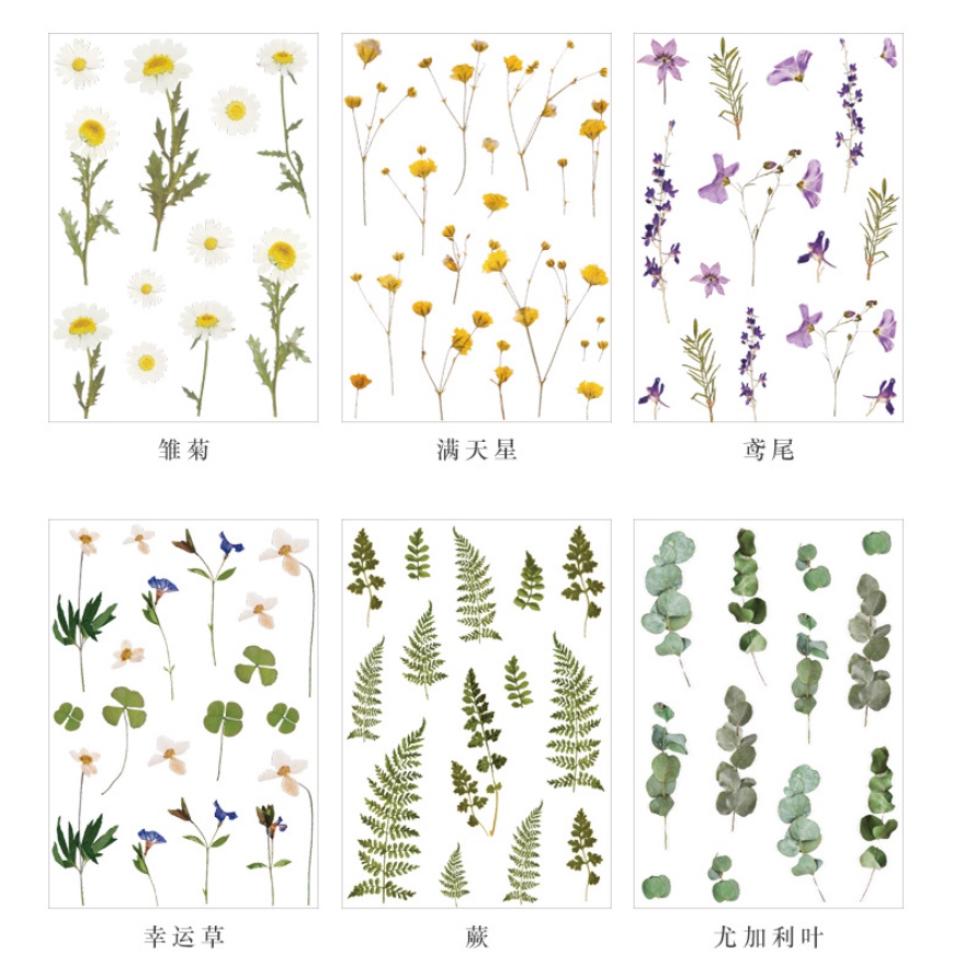 Sticker hoa lá cỏ thực vật tự nhiên