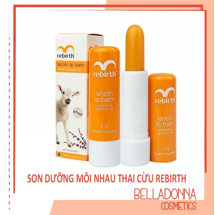 Son dưỡng môi nhau thai cừu Rebirth Lanolin Lip Balm with Vitamin E & Apricot Oil 3,7g