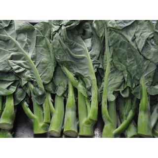 HẠT GIỐNG CẢI RỔ ( CẢI NÁ )